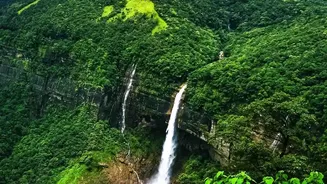 Monsoon Travel Guide For Indian Tourists: Forecasts, Alerts And Backup Plans
