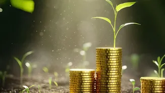 A Smarter August Budget Can Make Festival Spending Easier