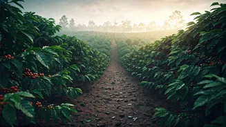 Coffee Country Beckons This Monsoon