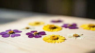 Pressed Flower Art: A Step-by-Step Guide