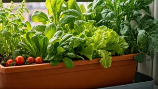 Small Balconies Are Producing Big Salad Energy