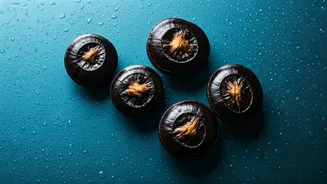 A Month of Singhadas: Unveiling the Daily Impact of Water Chestnuts on Your Body