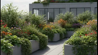 Terrace Gardens Can Help Cool Concrete Homes This Monsoon