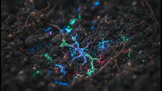 Beneficial Bacteria Make Soil Science Shareable