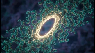 Why microscopic gatekeepers research opens doors for personalized medicine in neurology fields