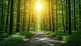 Walking: A Powerful Ally Against Alzheimer's?