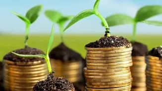 Why Early Monthly SIP Investments Build Financial Security Better Than Simple Savings Accounts