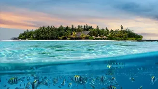 Conservation Experiences Let Guests See the Fragility behind Maldives Beauty