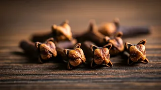 Unlocking Cloves: 11 Health Perks of Daily Chewing