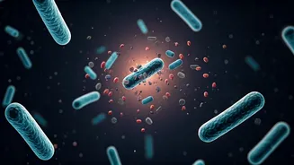 Antibiotics Failing: New Bacteria Survival Secrets Uncovered