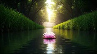 Nadi Shodhana: Unlocking Calmness Through Alternate Nostril Breathing