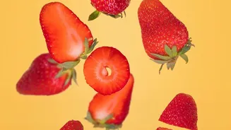 Researchers Want an Indian Strawberry That Survrives Heat Without Losing Quality