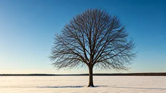 Unlocking Inner Strength: 10 Winter Habits to Adopt