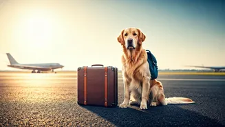 Pawsitively Trending: 2026 Sees Pet-Centric Travel Take Flight!