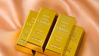 Sovereign Gold Bond Maturity Strategies For Young Investors Focus On Reinvesting In Broad Equities