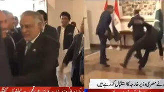 'Fallen For Egypt': Pak Deputy PM Falls While Welcoming Egyptian Counterpart For US-Iran Peace Talks | Video