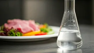 Monsoon Food Needs Safety Before Aesthetic Plates