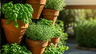 Grow A Rainy Herb Garden Using Vertical Terracotta Pots