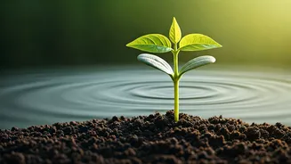 Small Eco Habits Are Making Big Waves