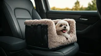 Travellers Want Their Pets Comfortable During Outings