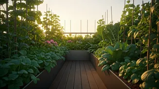 Why Terrace Garden Consulting Is Lucrative Career Option For