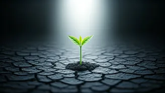 Sonali Bendre's Cancer Journey: Early Detection's Crucial Role & Breaking the Stigma