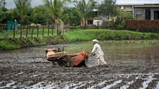 India's 2026 monsoon down 14%, farmers face tough season