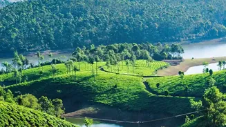 What Makes Munnar and Ooty Prime Candidates for a November South Indian Escapade