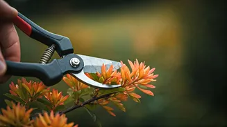 Flowering Plants Need Pruning Before They Go Wild