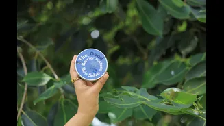 Monsoon Skincare: Protecting Your Skin Barrier Effectively