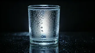 Hydration Habits: Maximizing Water Absorption