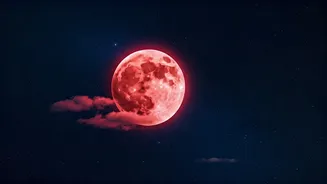 Related Stories banner