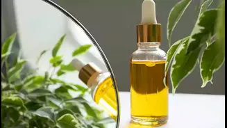 Essential Benefits of Tea Tree Oil You Need to Know