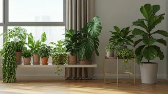 Indoor Greens Are The New Small-Space Flex