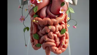 Bactérias da microbiota intestinal impactam o desempenho físico