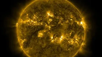What The Newly Seen Solar Plasma Wave Shows About Solar Physics Clues