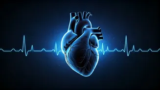 Related Stories banner