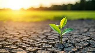 Environmental Stories Need Utility, Not Doom Alone