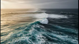 Understanding Opposite Ocean Patterns And Their Impact