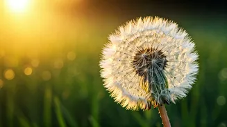 Unlock Your Day: 7 Empowering 5 AM Affirmations for a Transformed Mindset
