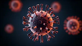 Delhi-NCR Gripped by H3N2 Surge: Expert Advice on Symptoms and Prevention