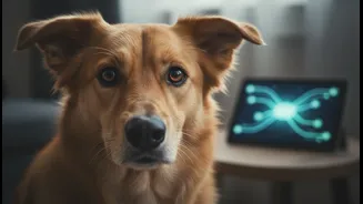 Why urban pet parents create community support groups for monsoon noise anxiety management