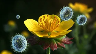 Tormentil's Ancient Secrets: A Wildflower's Fight Against Superbugs