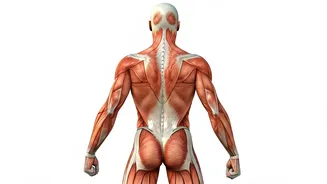 Samantha Prabhu's Back: Workout Secrets Revealed!