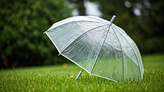 The Rain Can't Wash Away UV Damage
