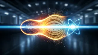 Bollywood Stars' Surprising Appetites: Hrithik's 14 Chapatis to Vicky's Brick-Digesting Metabolism