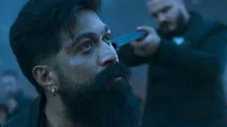 'Toxic' nets 240.30cr India in 10 days, domestic gross 286.88cr