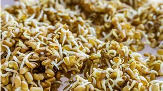 Fenugreek sprouts for breakfast: 5 must-try recipes