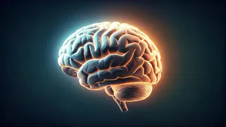 7 Days to a Sharper Mind: Harvard Study Unlocks Meditation's Brain-Boosting Power