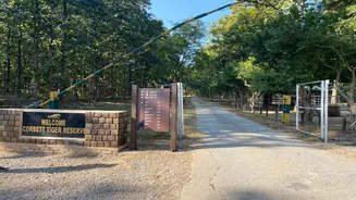 Jim Corbett National Park faces tourist decline, revenue falls by crores amid rising fees and booking issues